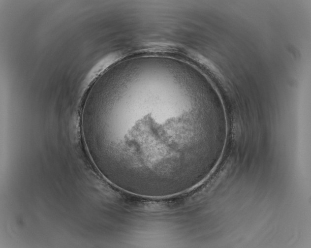 X0000115851362200911131543