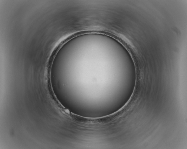 X0000115851364200911131543