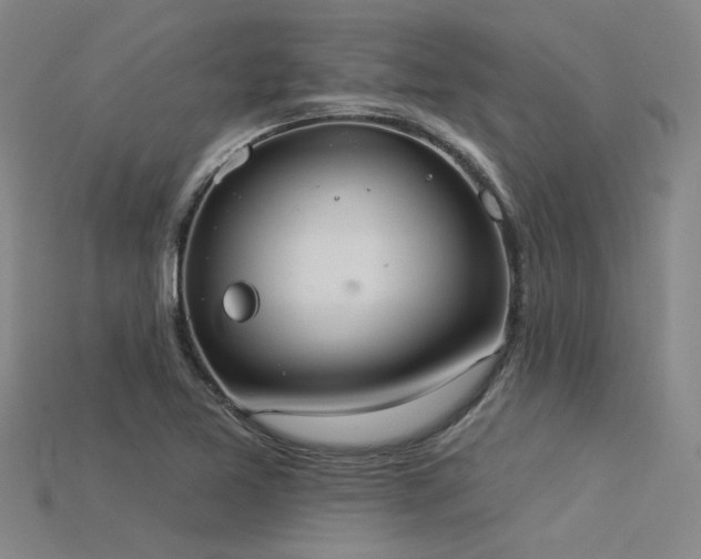 X0000115851365200911131543