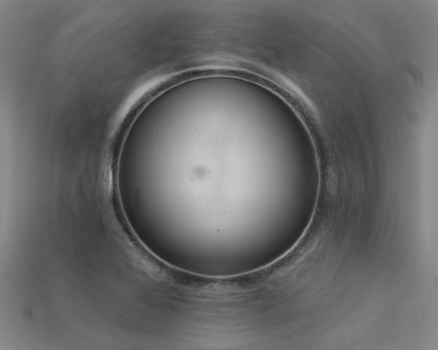 X0000115851368200911131543