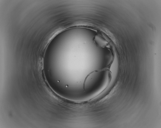 X0000115851369200911131543