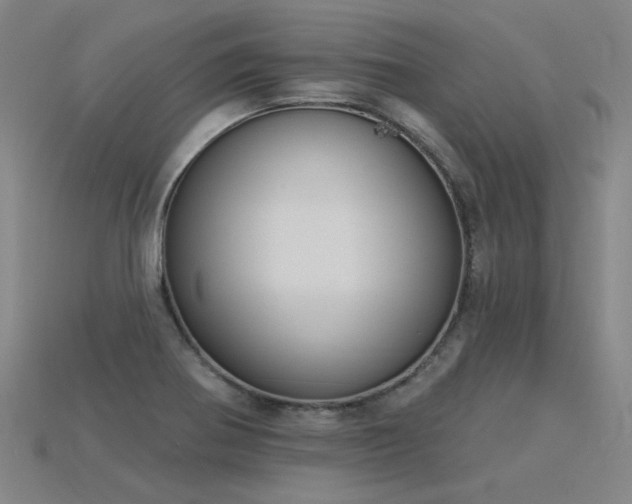 X0000115851370200911131543