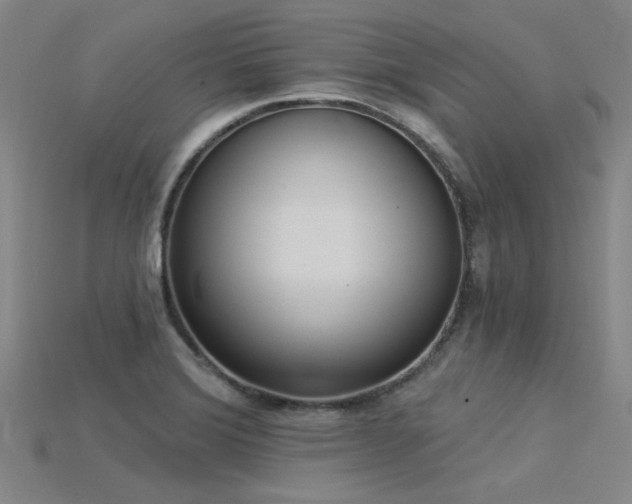 X0000115851372200911131543