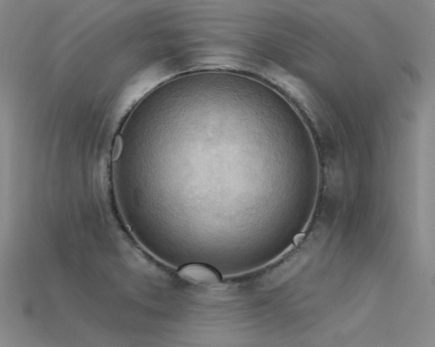 X0000115851373200911131543