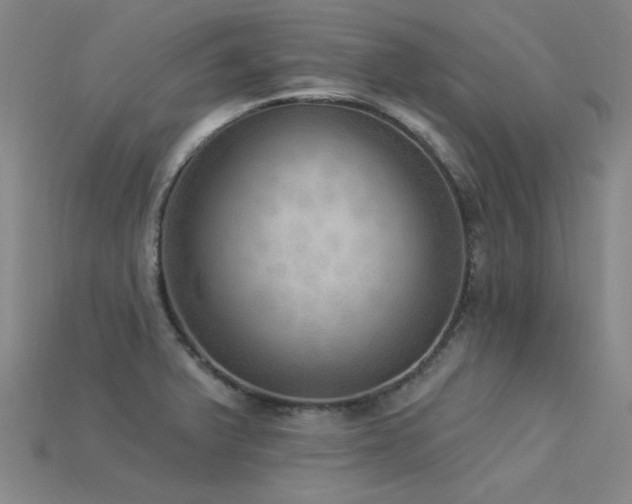 X0000115851375200911131543