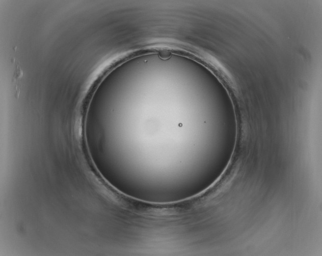 X0000115851376200911131543