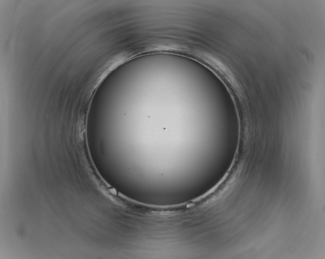 X0000115851377200911131543