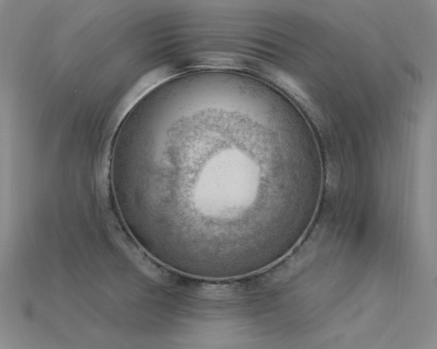 X0000115851378200911131542