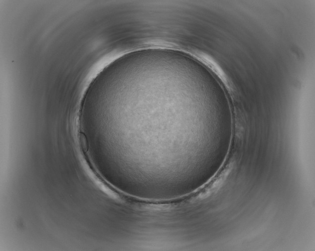 X0000115851381200911131542