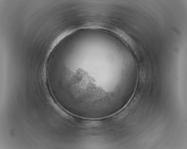 X0000115851382200911131542