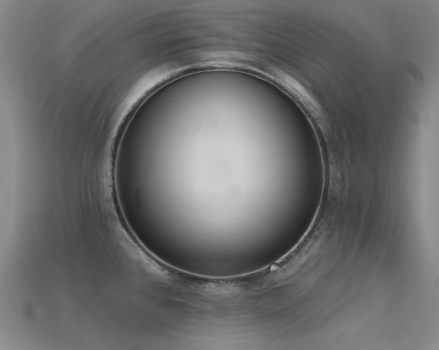 X0000115851384200911131542