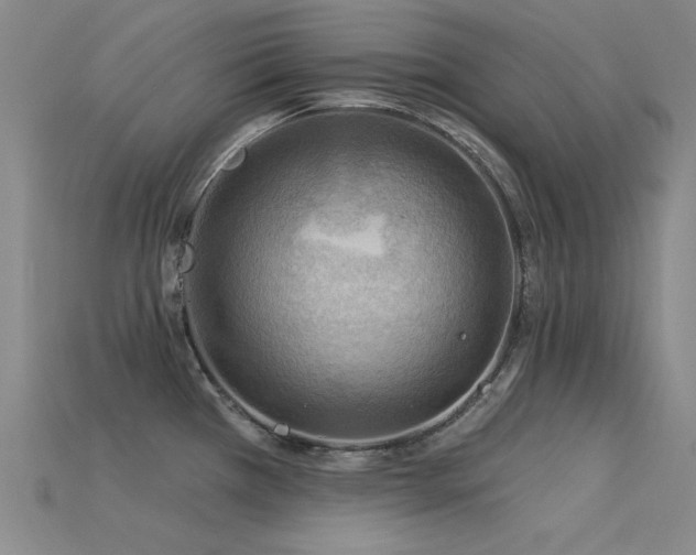 X0000115851385200911131542