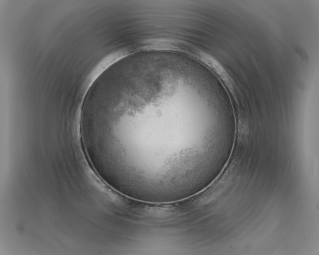 X0000115851386200911131542