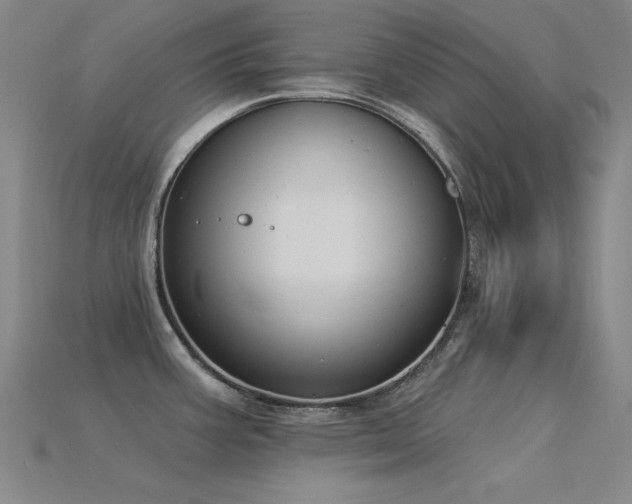 X0000115851387200911131542