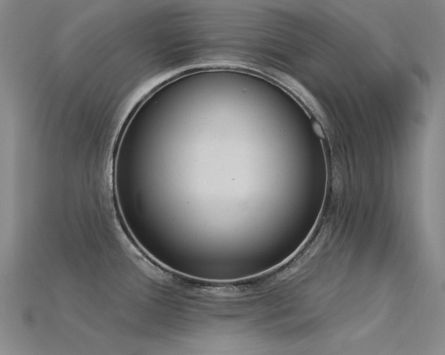 X0000115851388200911131542