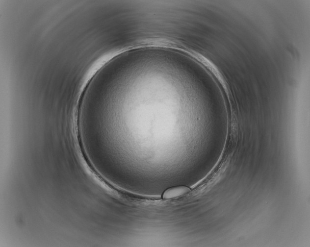 X0000115851389200911131542