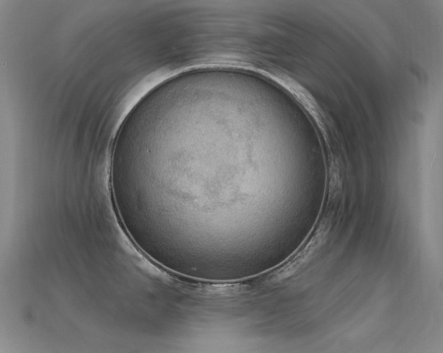 X0000115851390200911131542