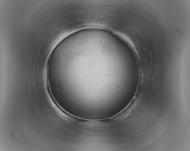 X0000115851391200911131542