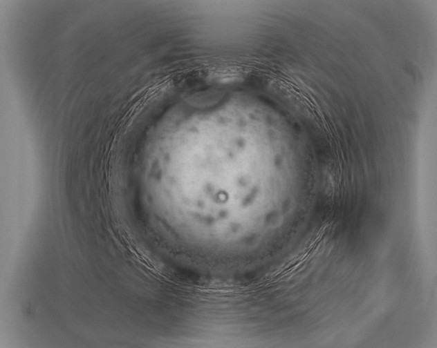 X0000115851393200911131542