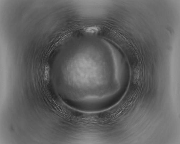 X0000115851394200911131542