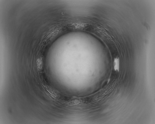 X0000115851395200911131542