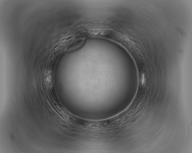 X0000115851396200911131542