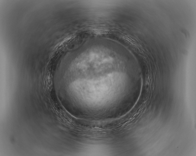 X0000115851398200911131542