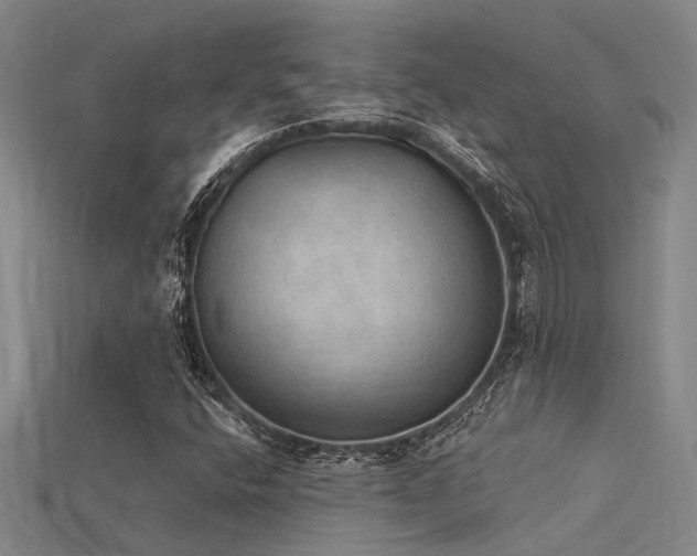 X0000115851400200911131542