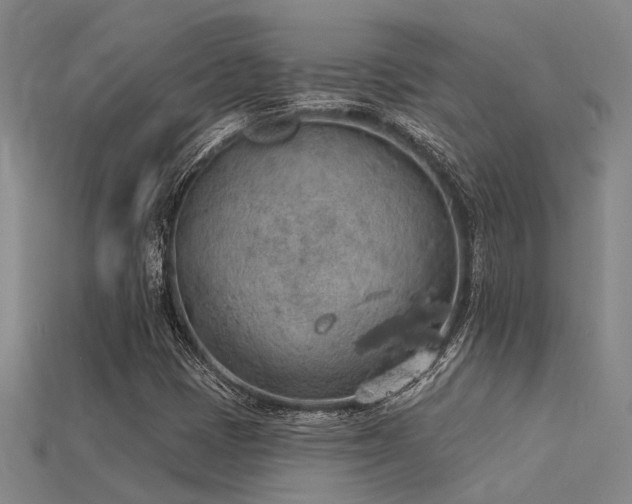 X0000115851401200911131542