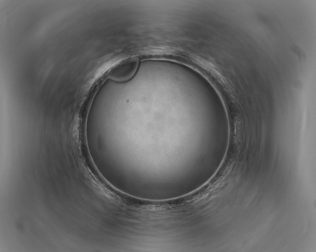 X0000115851404200911131542