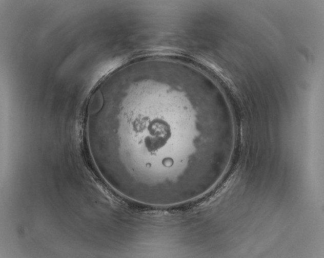 X0000115851405200911131542