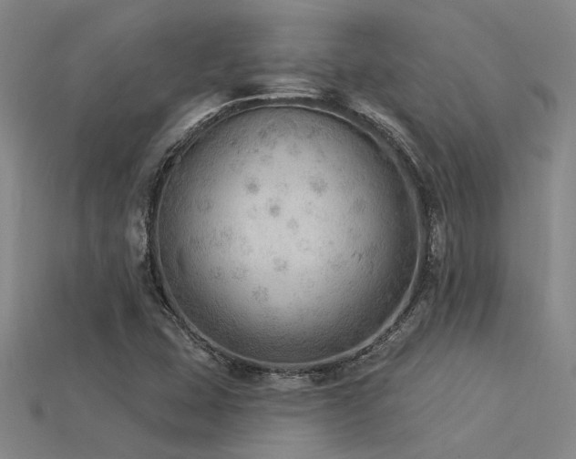 X0000115851407200911131542