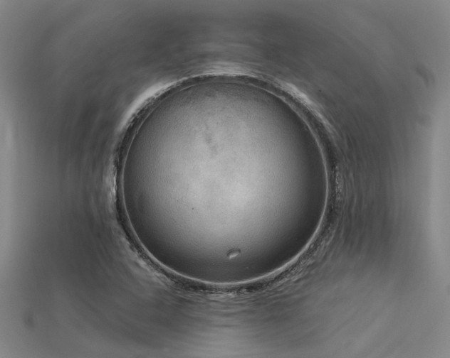 X0000115851408200911131542