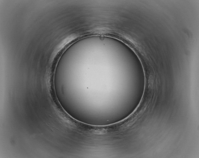 X0000115851410200911131542