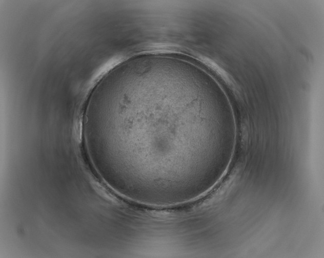 X0000115851413200911131542