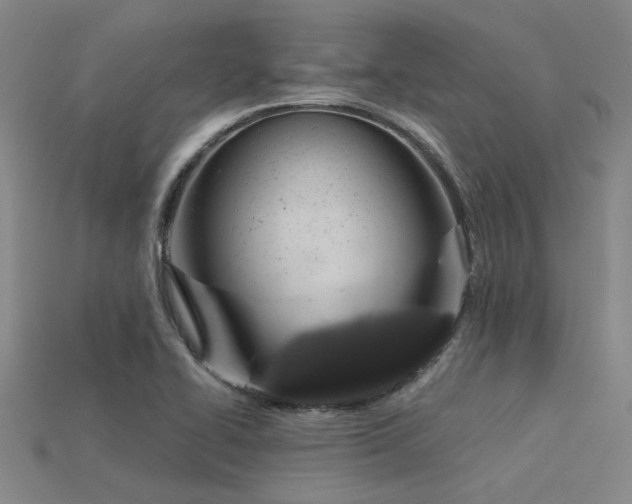 X0000115851414200911131542