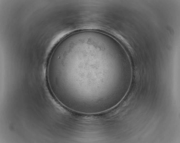 X0000115851416200911131542