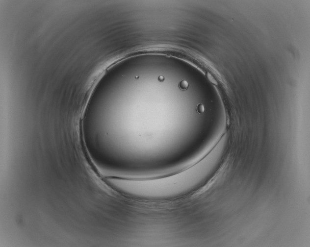 X0000115851417200911131542