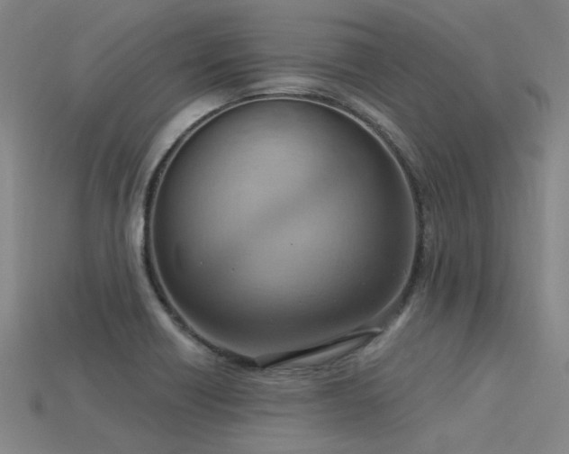X0000115851418200911131542