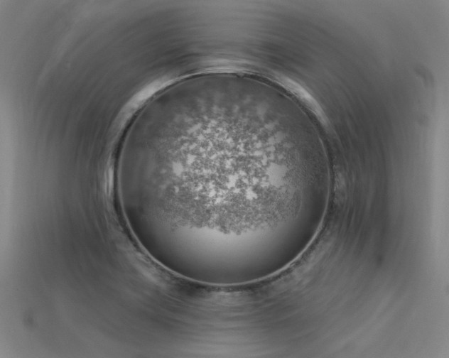 X0000115851419200911131542