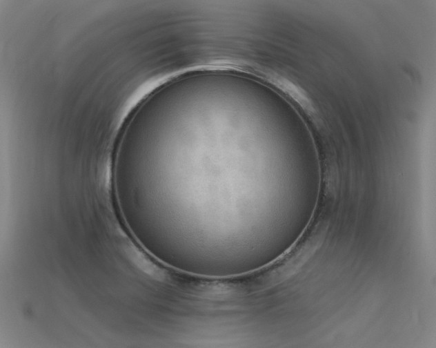 X0000115851420200911131542