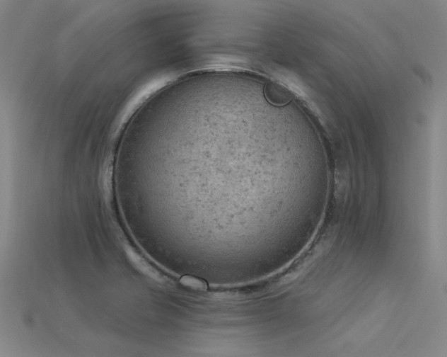 X0000115851421200911131542