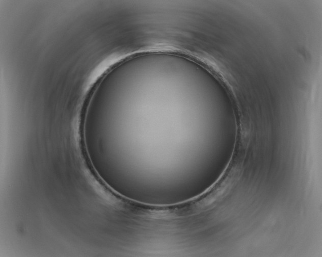 X0000115851422200911131542