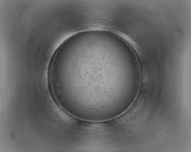 X0000115851423200911131542