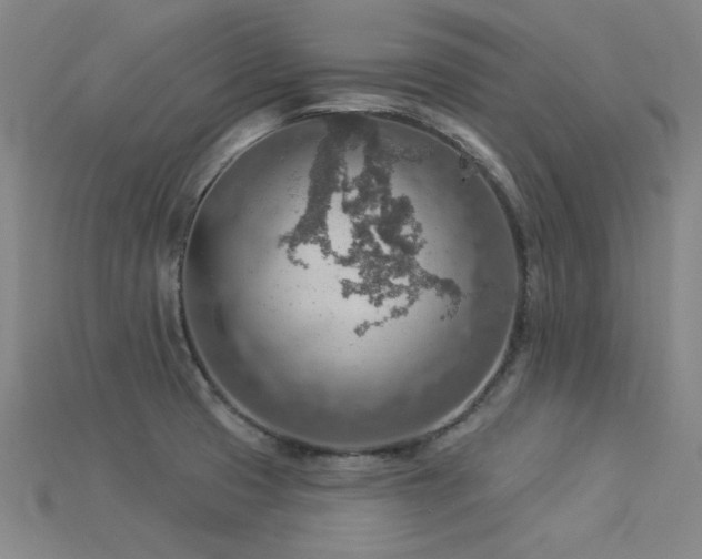 X0000115851425200911131542