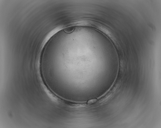 X0000115851426200911131542