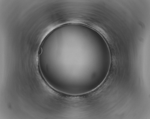 X0000115851428200911131542