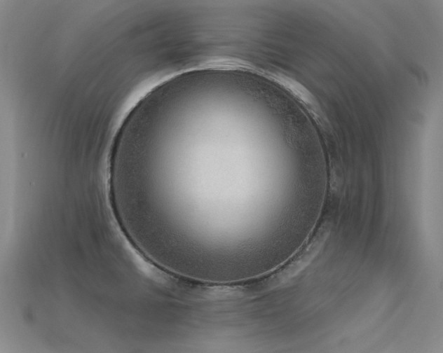 X0000115851430200911131542