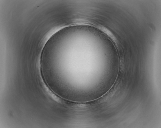 X0000115851431200911131542