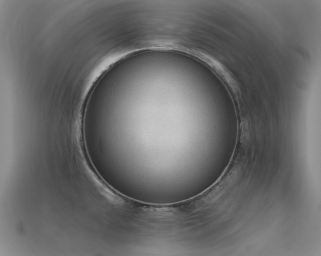 X0000115851432200911131542
